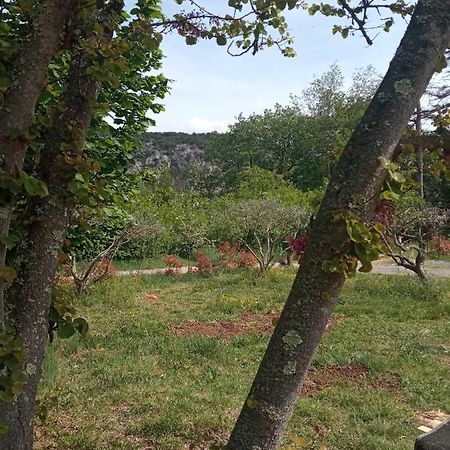 Les Cypres Villa Lagorce  Luaran gambar